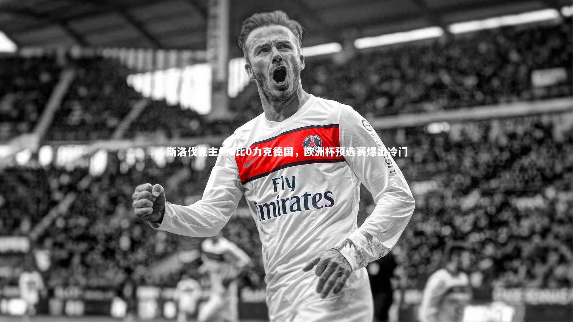 斯洛伐克主场2比0力克德国，欧洲杯预选赛爆出冷门
